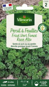 Persil Frisé Vert Foncé race Alto